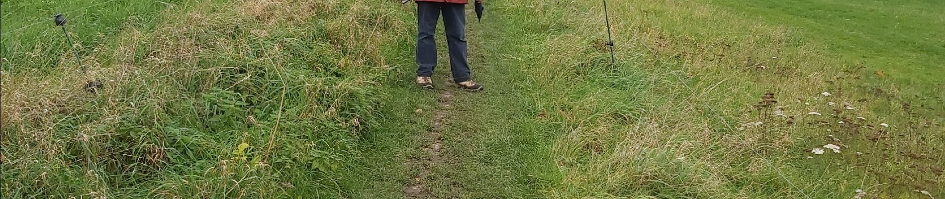 Tocht Noords wandelen Chaumont-Gistoux - dion bonne Longueville  - Photo