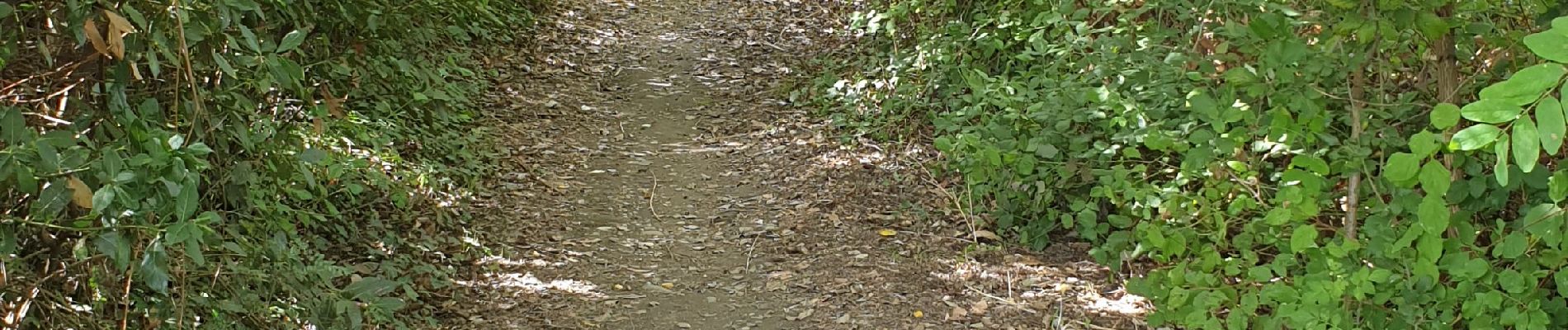 Randonnée Marche Montélimar - base de loisir de Montelimar - Photo