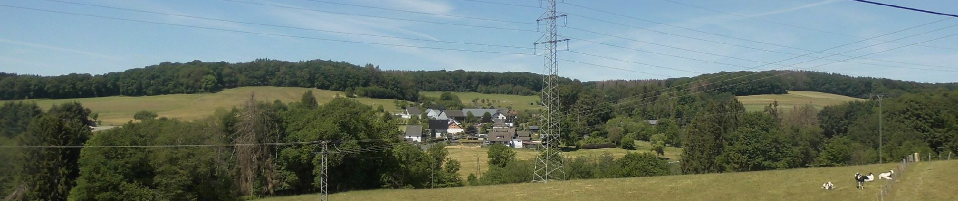 Tocht Te voet Waldbröl - Spurkenbach Rundweg A4 - Photo