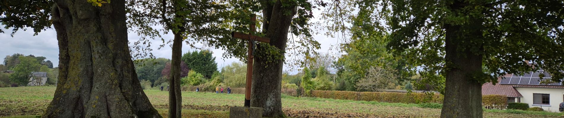 Trail Walking Onhaye - Adeps Anthée - Photo