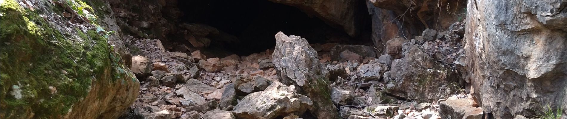 Tour Wandern Néoules - grotte Régay à Néoules - Photo