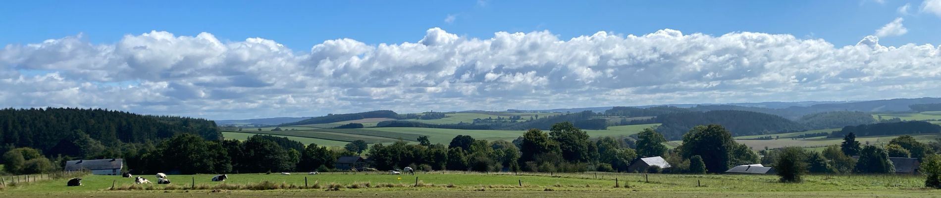 Tour Wandern Tenneville - Erneuville - Photo