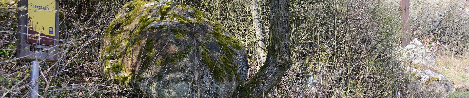 Randonnée A pied Gemeinde Retz - Rosstalenweg - Photo