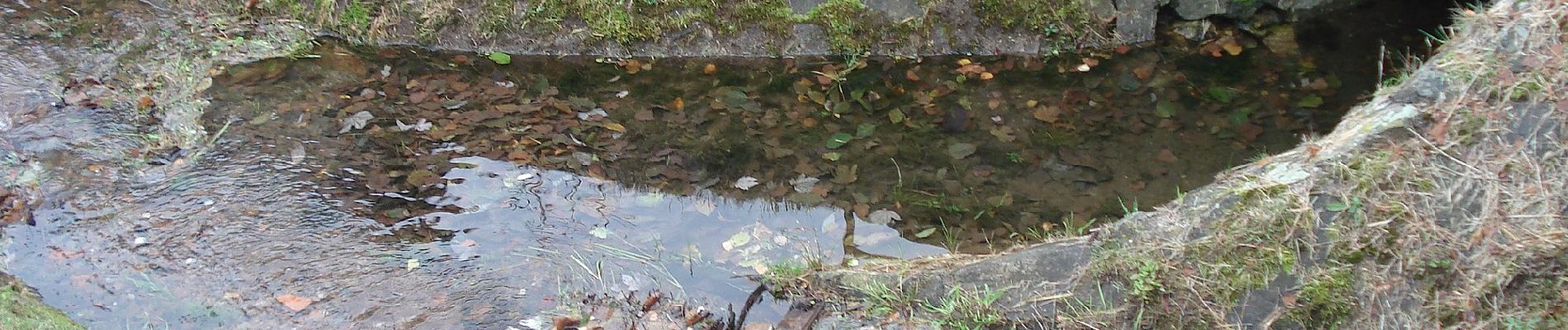 Randonnée A pied Heinrichsthaler Forst - Kulturweg Wiesen - Photo