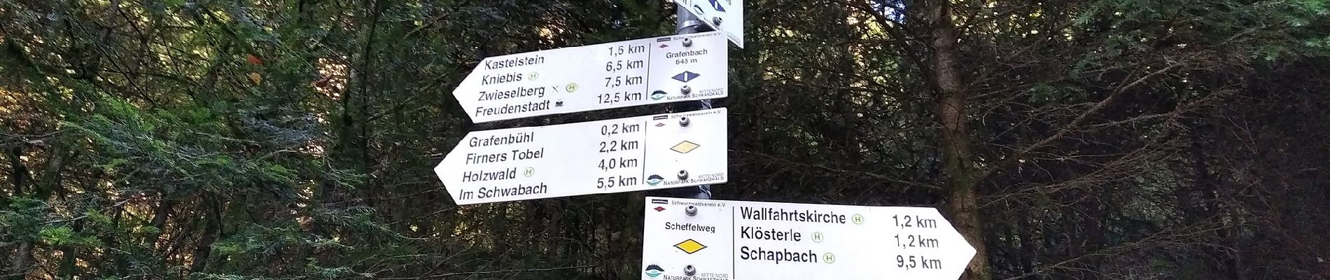 Tour Zu Fuß Bad Rippoldsau-Schapbach - Bad Rippoldsau-Bad - Holzwald - Photo