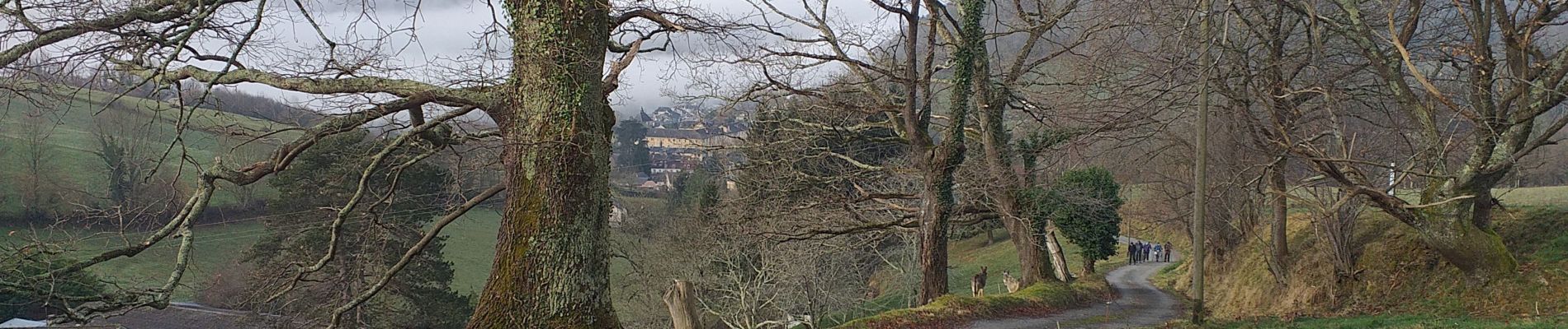 Tour Wandern Saint-Pé-de-Bigorre - G4 saint le de Bigorre  - Photo