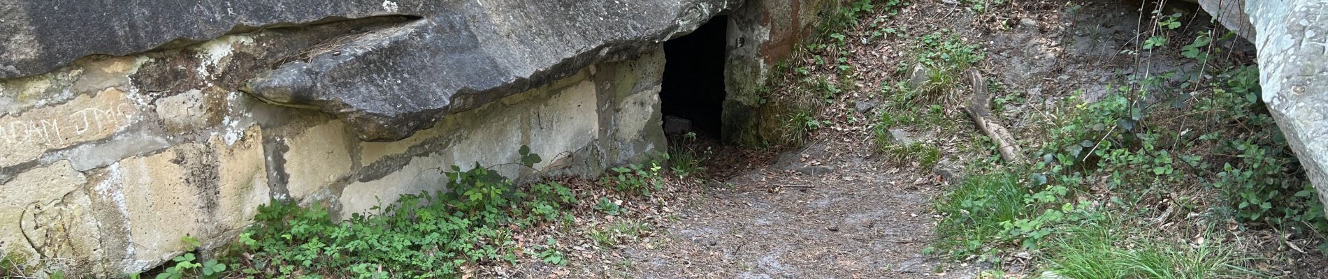 Trail Walking Ormoy-le-Davien - Ormoy - Cave du diable  - Photo