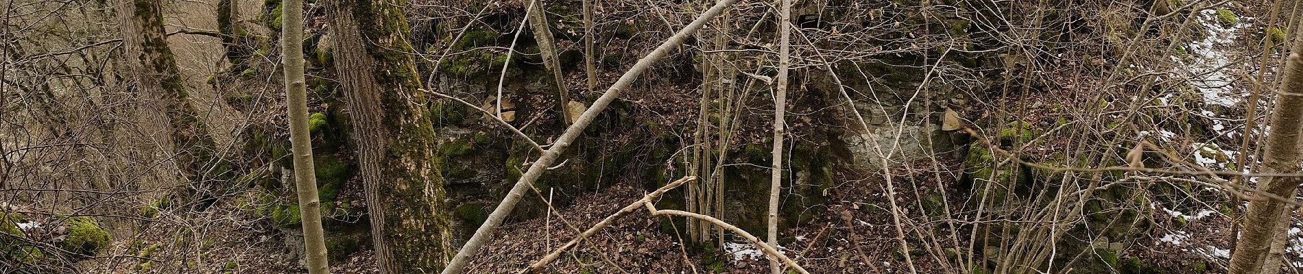 Tocht Te voet Deißlingen - SAV rotes Plus Maienbühl-Oberrotenstein - Photo