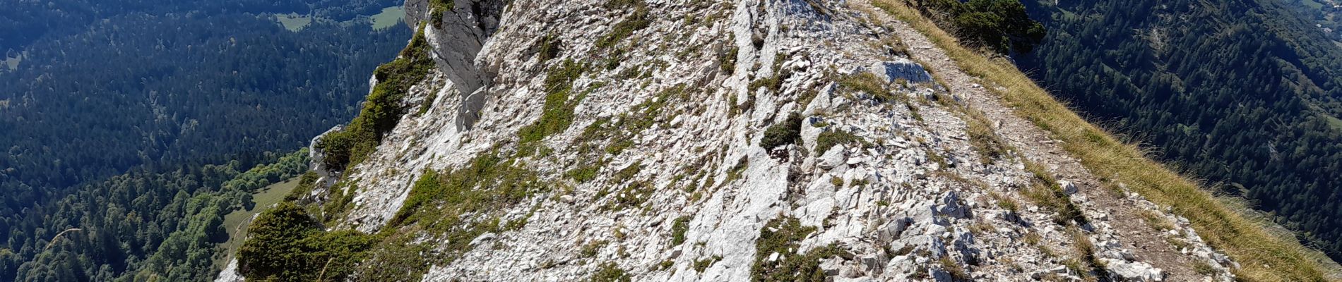 Tocht Stappen Aillon-le-Jeune - BAUGES: MONT COLOMBIER - Photo