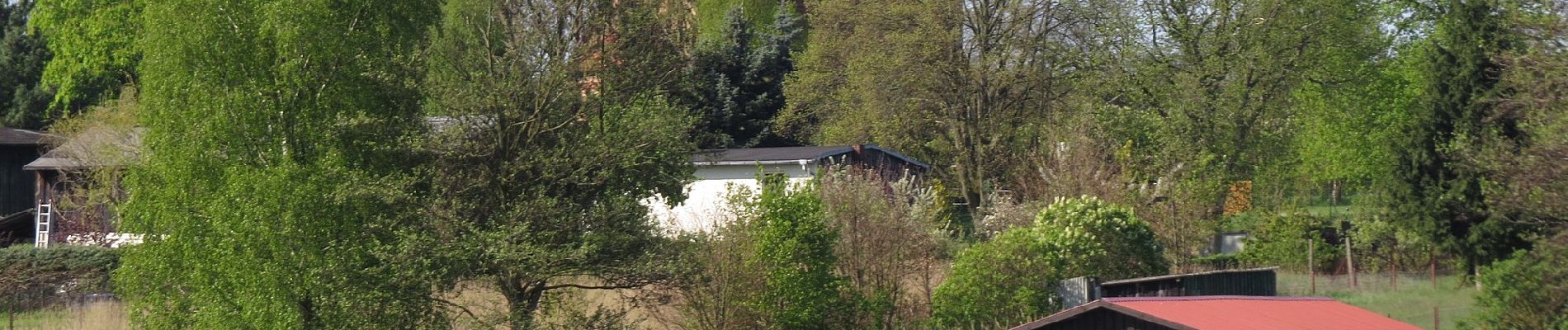 Randonnée A pied Kratzeburg - Um den Käbelicksee - Photo