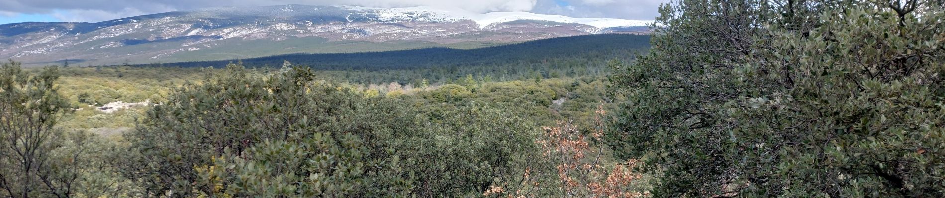 Tour Wandern Flassan - Sentiers sauvages de la Combe Ripert - Photo