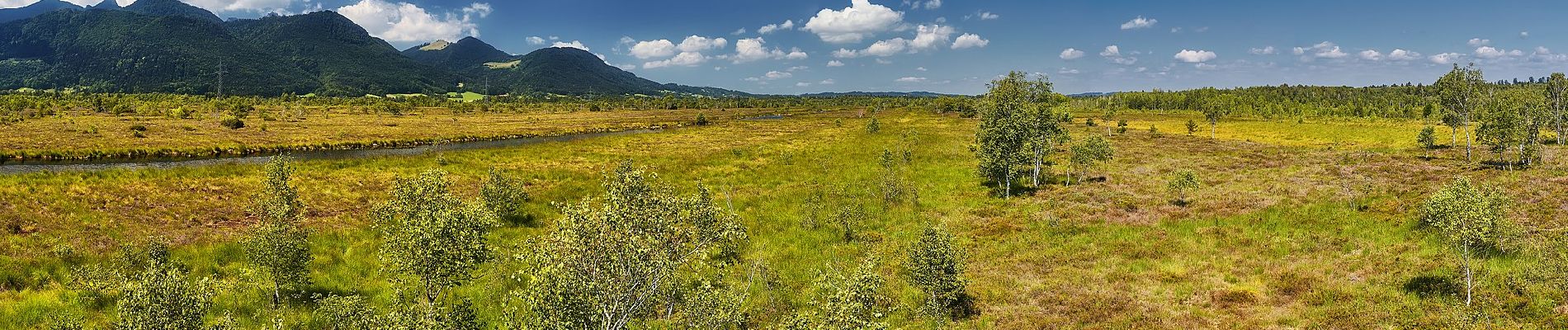 Tour Zu Fuß Grassau - Wanderweg 23 - Grassau - Photo