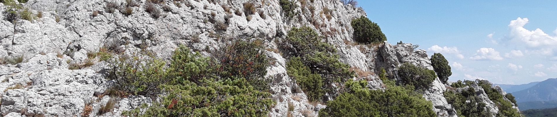 Tour Wandern Malaucène - Le cirque de Saint Amand et le Pas du Loup  - Photo