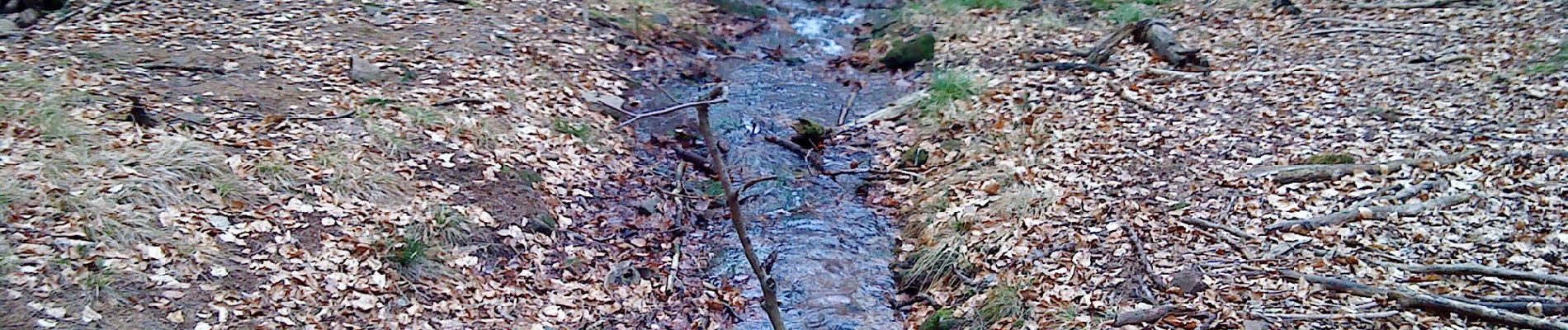 Randonnée A pied Kleinkahl - Schwarzer Fuchs, Rundwanderweg Kleinkahl - Photo