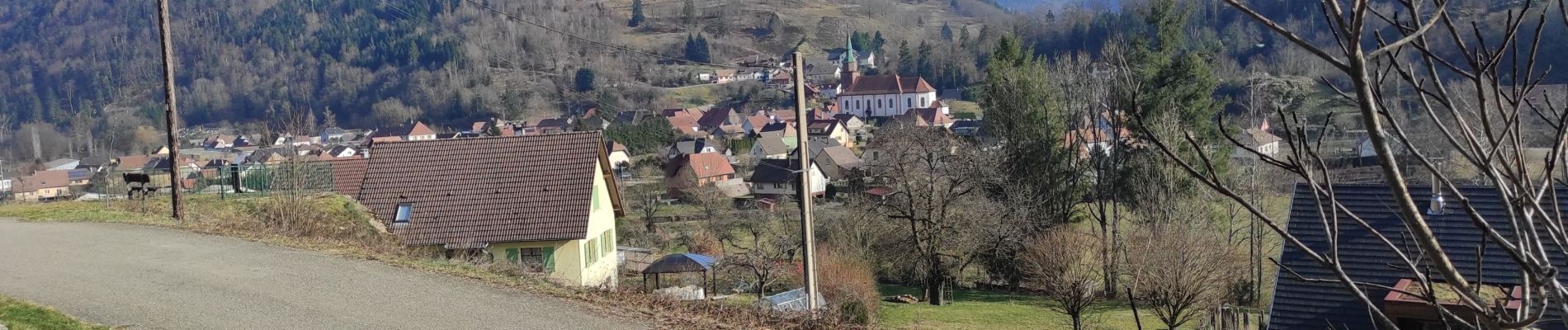 Tour Wandern Urbis - Urbès HT Marel  - Photo