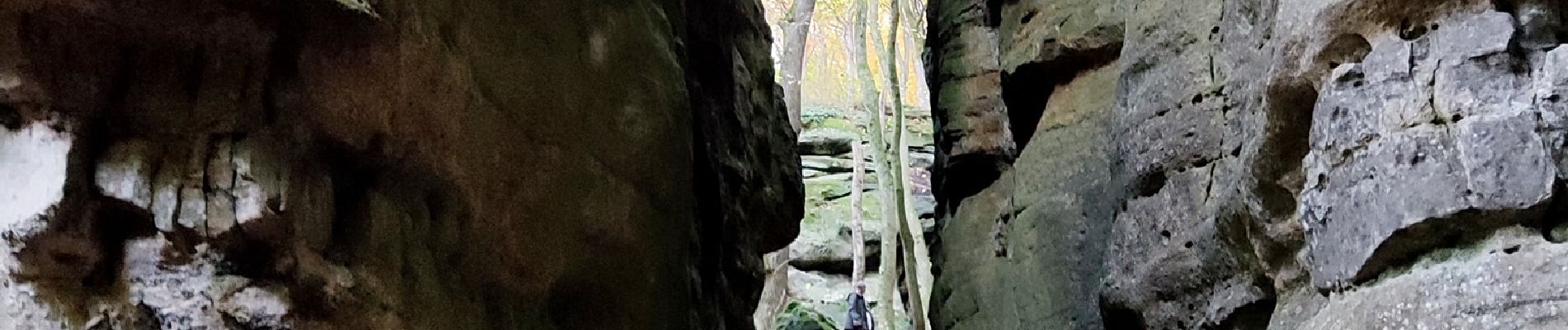 Trail Walking Berdorf - Les colonnes rocheuses de Berdorf - Photo