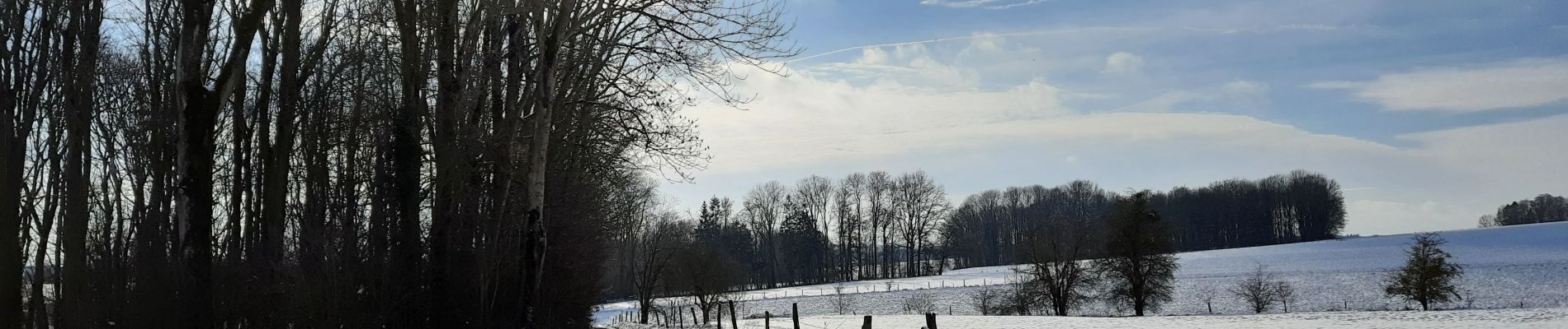 Randonnée Marche Tinlot - Ramelot sous la neige - Photo