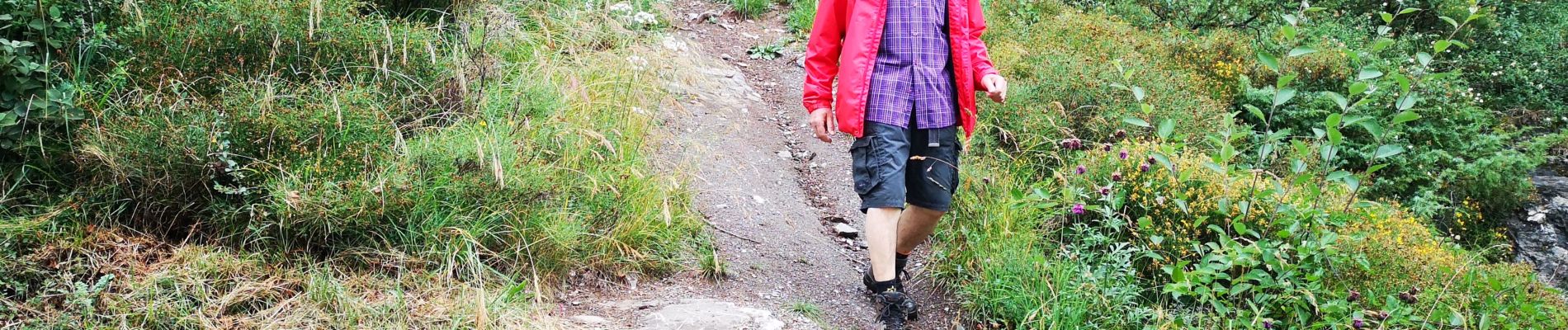 Tocht Noords wandelen Arbaz - 11.07.20 Anzère  - Photo