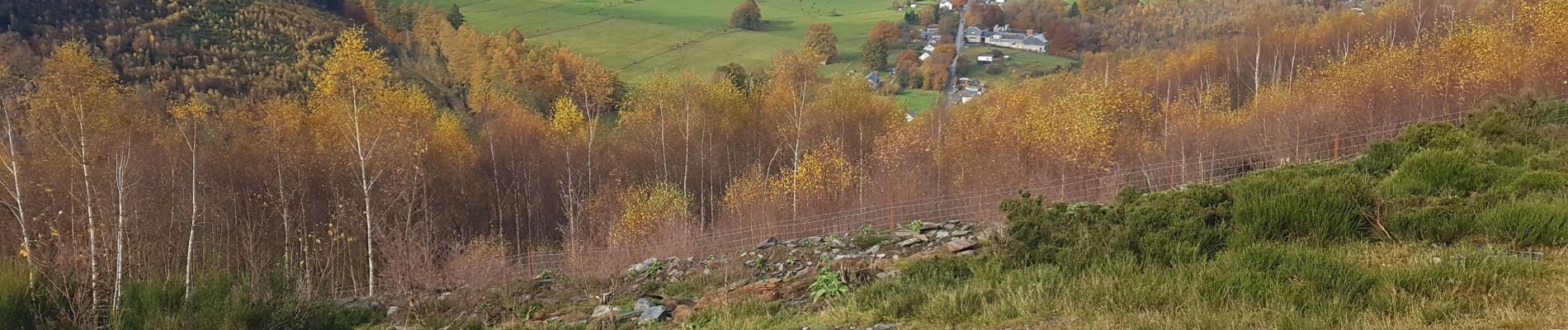 Randonnée Marche Vielsalm - top zicht vanaf groeve - Photo