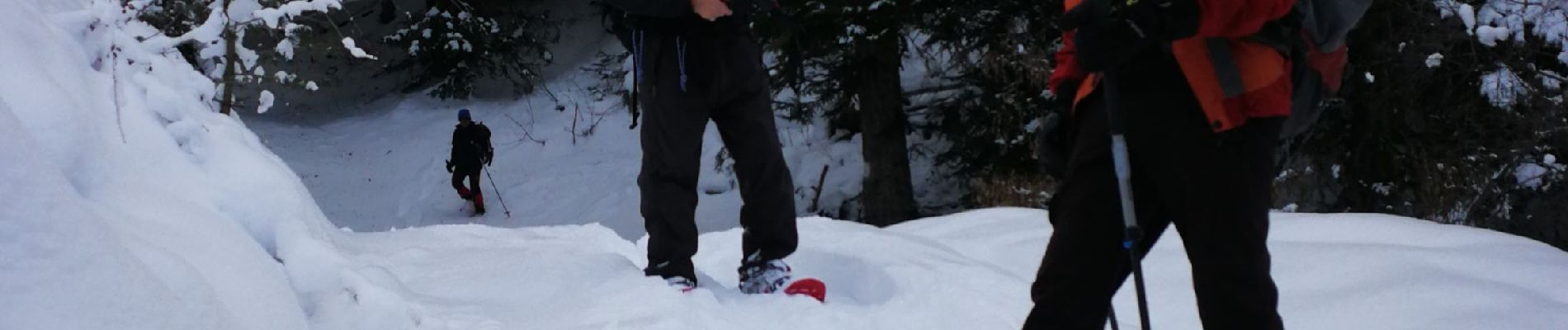 Tocht Sneeuwschoenen Selonnet - Crète des melezes - Photo