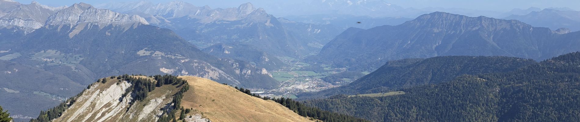 Tour Wandern Bellecombe-en-Bauges - banc plat - Photo