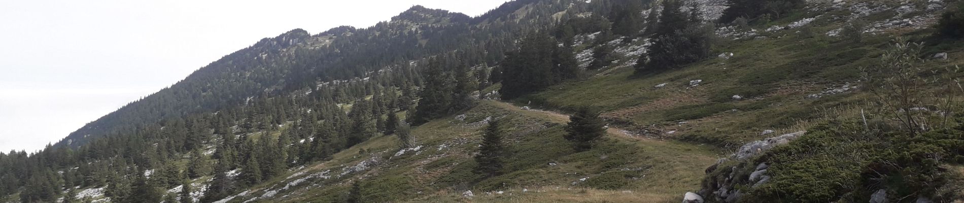 Tocht Noords wandelen Lans-en-Vercors - La Moucherotte - Photo