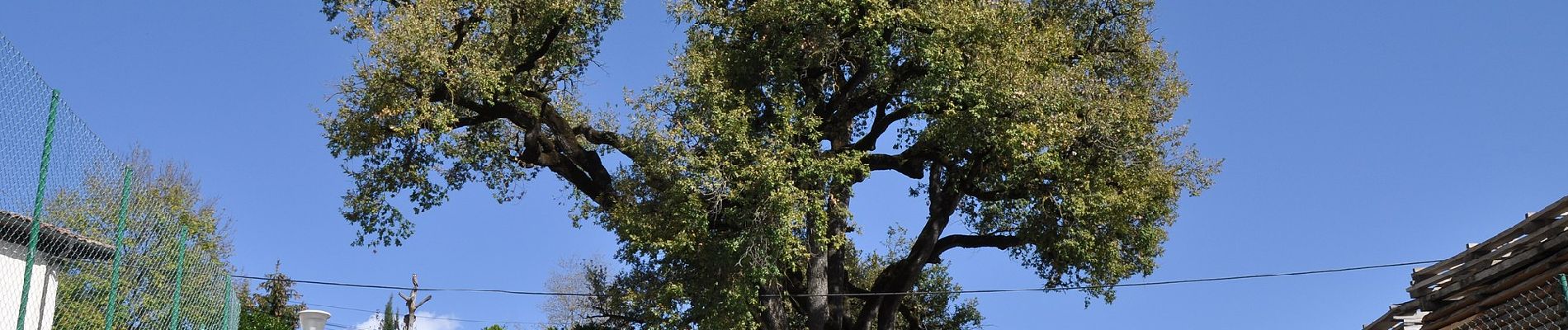 Randonnée A pied Vidrà - Vidrà-Puig de les Àligues - Photo