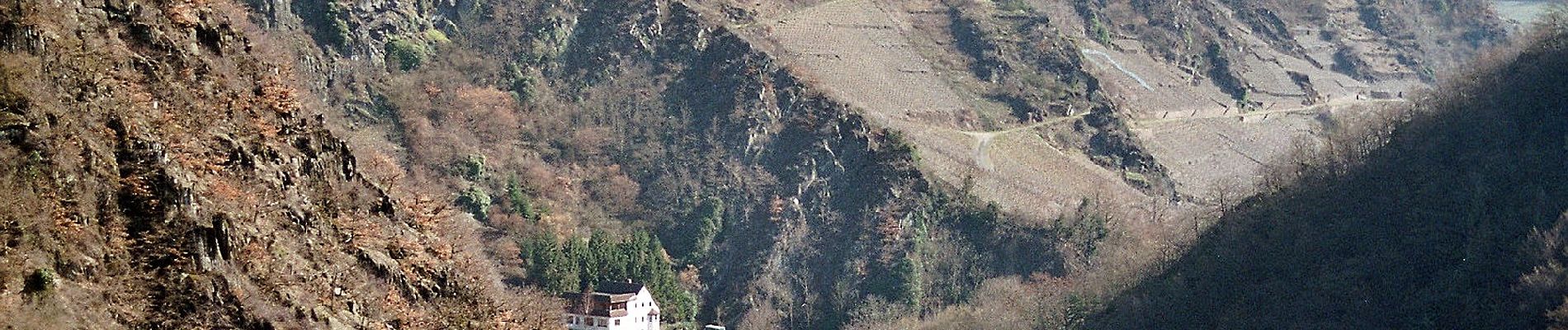 Randonnée A pied Altenahr - Altenahr Rundweg 2 - Photo