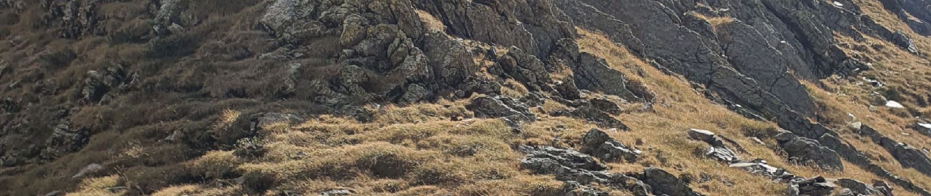 Tour Wandern Bagnères-de-Luchon - Pic Sacroux eco - Photo