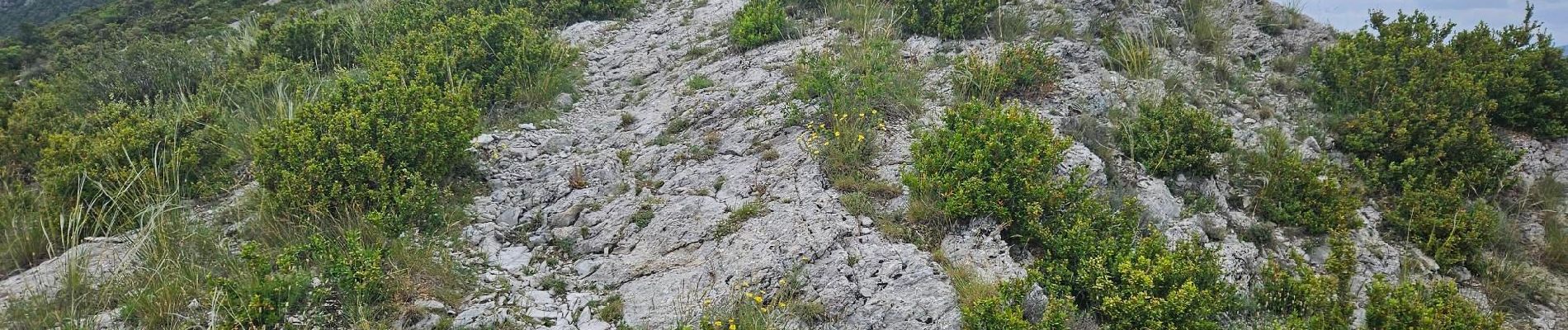 Tour Wandern Teyssières - Randonnée au départ de Teyssières (Le Cougoir, La Lance) - Photo