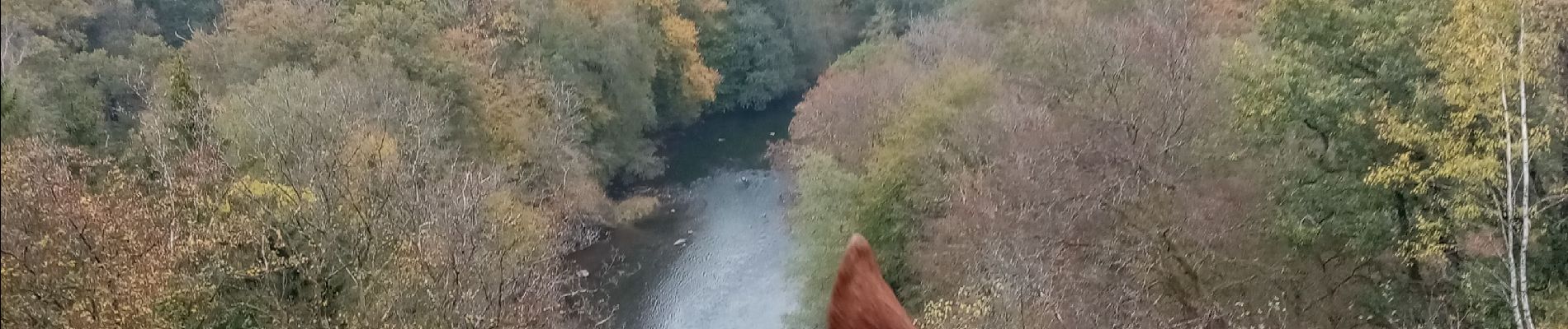 Trail Horseback riding Florenville - les épioux - Photo