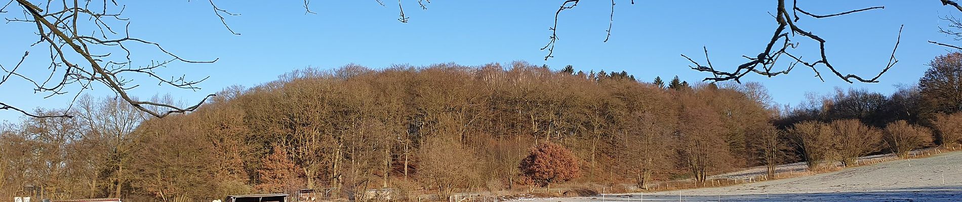 Tour Zu Fuß Ammersbek - Rund um Wulfsdorf und Hoisbüttel - Photo