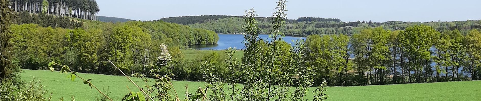 Trail Electric bike Champeau-en-Morvan - slf080522 - Photo