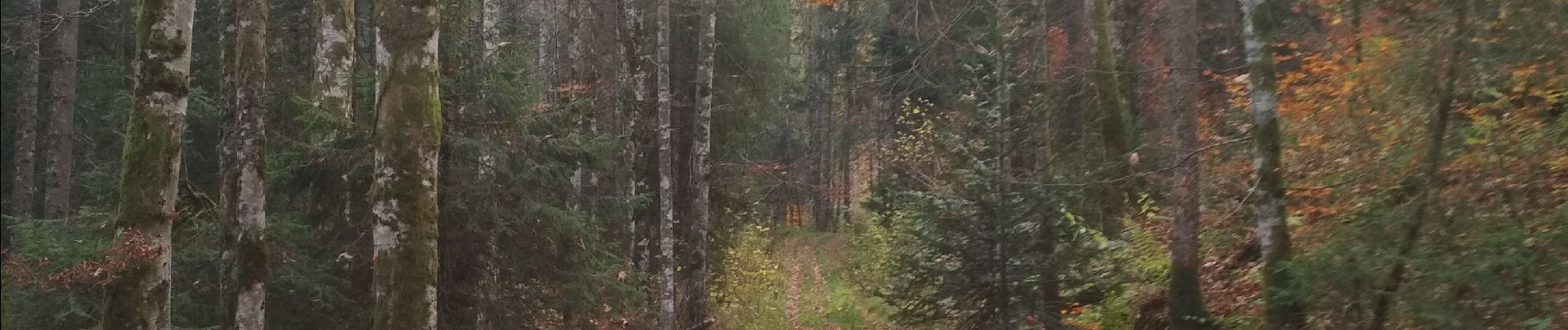 Tocht Stappen Remoray-Boujeons - vers la Baume et autour - Photo