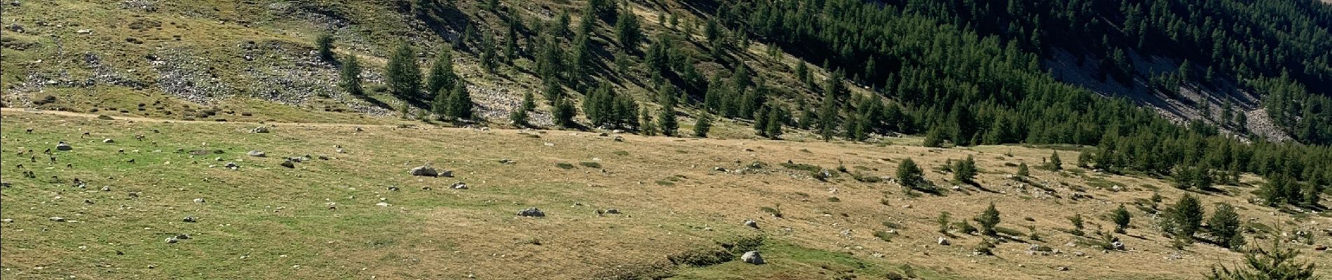 Trail Walking Tende - Vallée des merveilles  - Photo