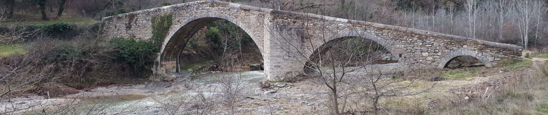 Tour Wandern Mane - 191218chateauneuf - Photo