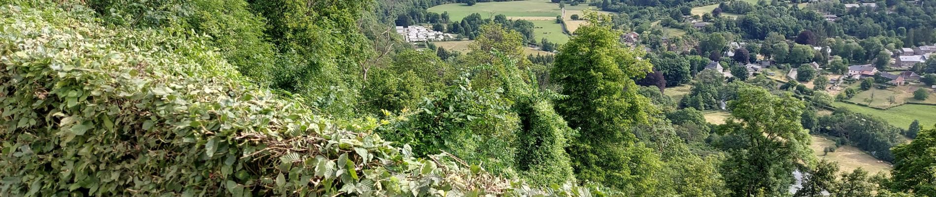 Tour Wandern La Roche-en-Ardenne - MESA _ 2023 _ Étape 1 _ LA ROCHE-en-ARDENNE _ 27/06/2023 - Photo