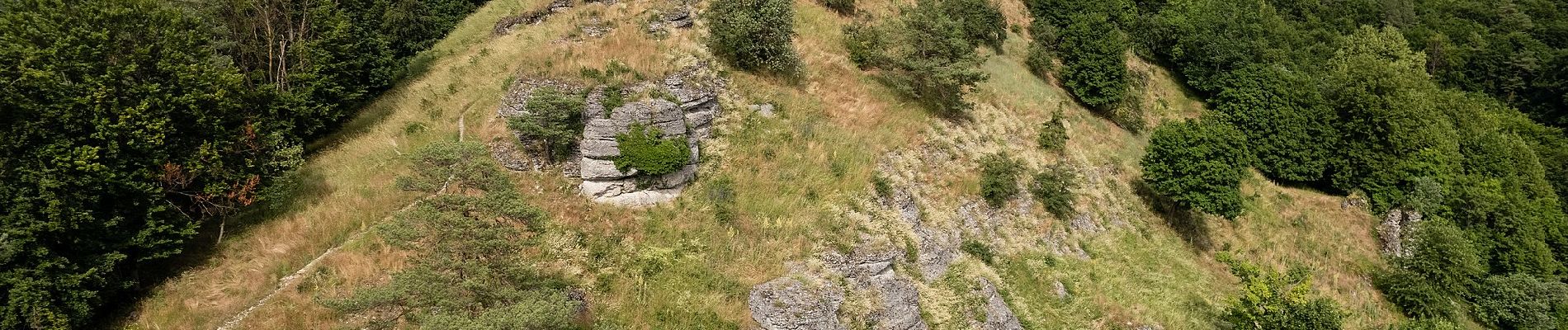 Tour Zu Fuß Weismain - Bärentrail - Photo