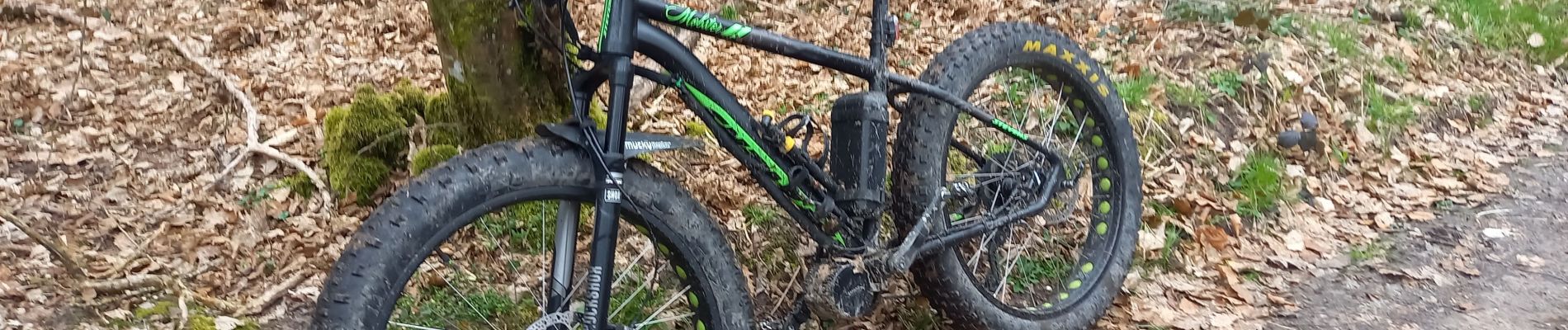 Tour Elektrofahrrad Saint-Clément - sortie vtt 19032023 vitrimont  - Photo