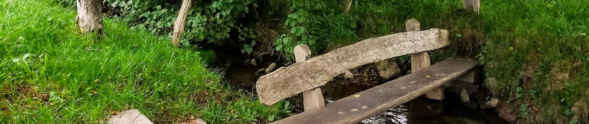 Randonnée A pied Berkatal - Premiumweg P2 Frankershäuser Karst - Photo