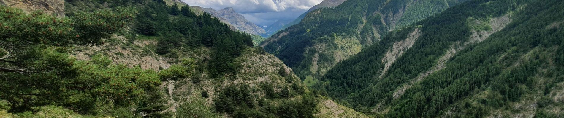 Trail Walking Uvernet-Fours - rando col de la cloche 8/07/2021 - Photo