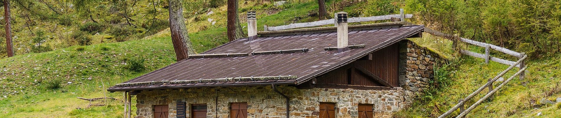 Excursión A pie Pellizzano - Sentiero di Pian Palù e della Sforzellina - Photo