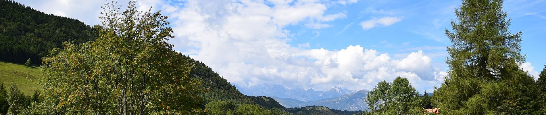 Tour Zu Fuß Trient - Via ferrata dei Sparavèi - Photo