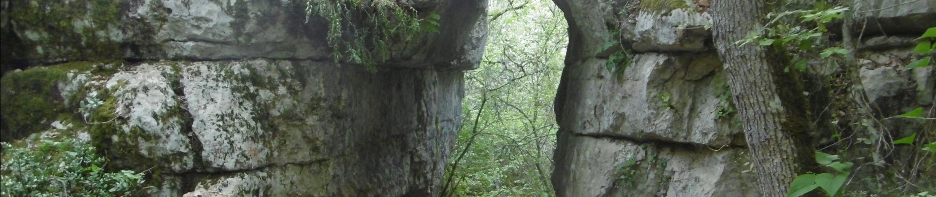 Tocht Stappen Berrias-et-Casteljau - La Corniche, ermitage St.Eugène, bois de Païolive - Photo