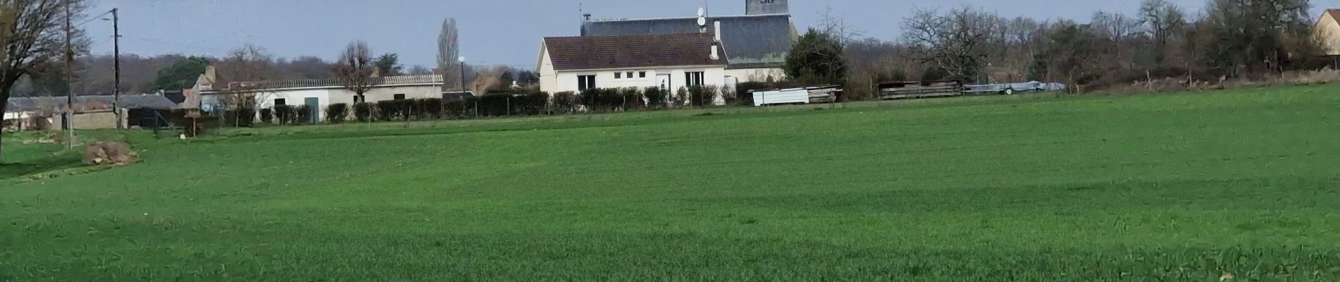 Randonnée Marche Ouzouer-sur-Trézée - ouzouer-sur-Treze 45 avec Coco  - Photo