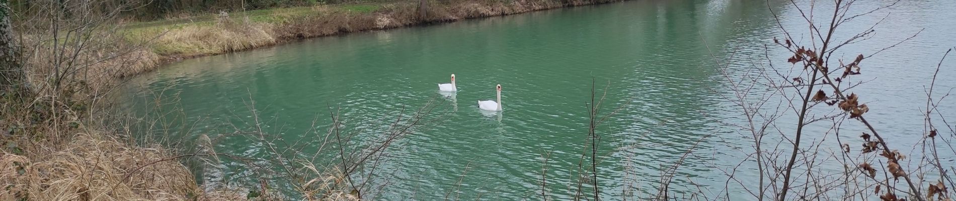 Tocht Stappen Burnhaupt-le-Bas - Burnhaupt le Bas - Photo