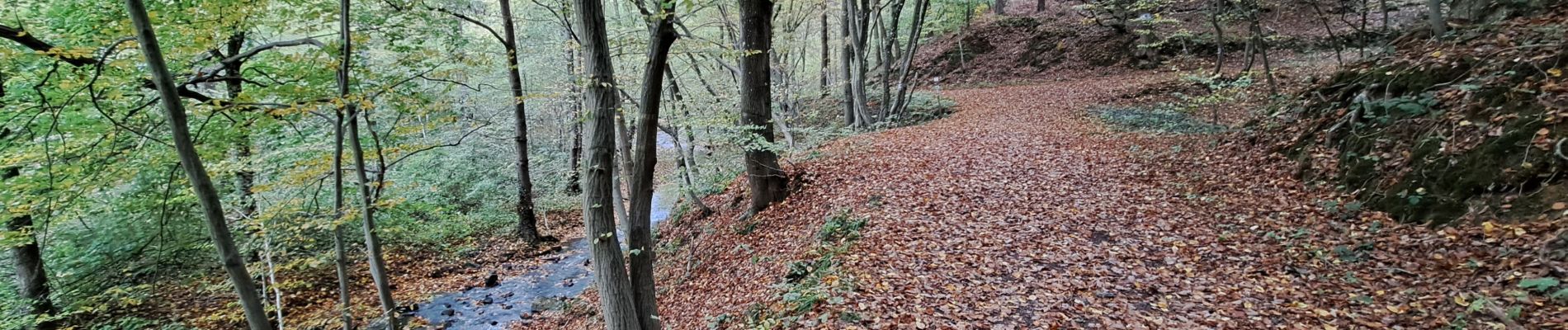 Trail Walking Nandrin - marche adeps villers le temple - Photo