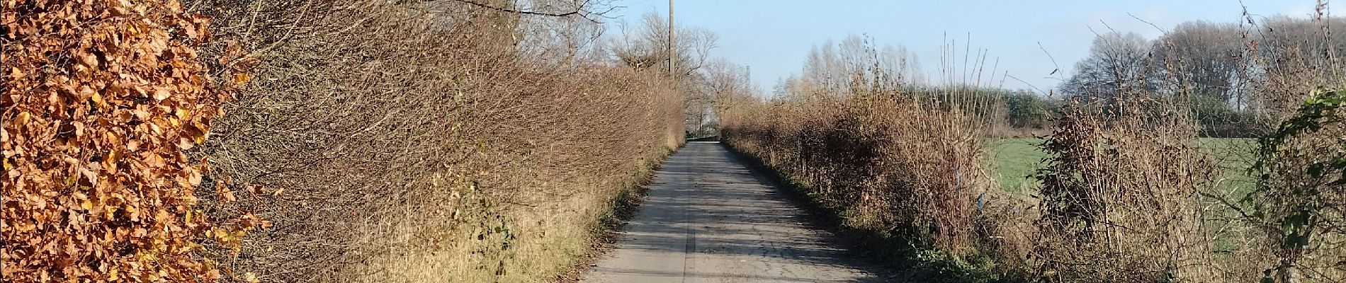 Excursión Senderismo Verviers - Drève de maison bois  - Photo