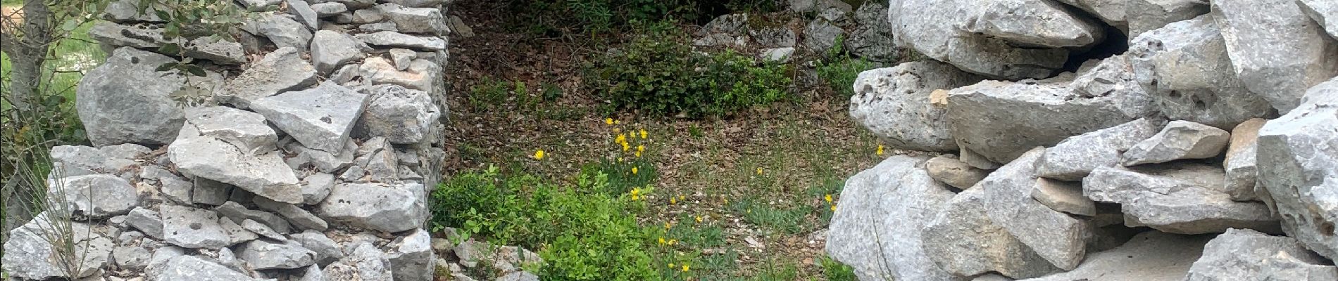 Trail Walking Murs - Col de murs - Photo