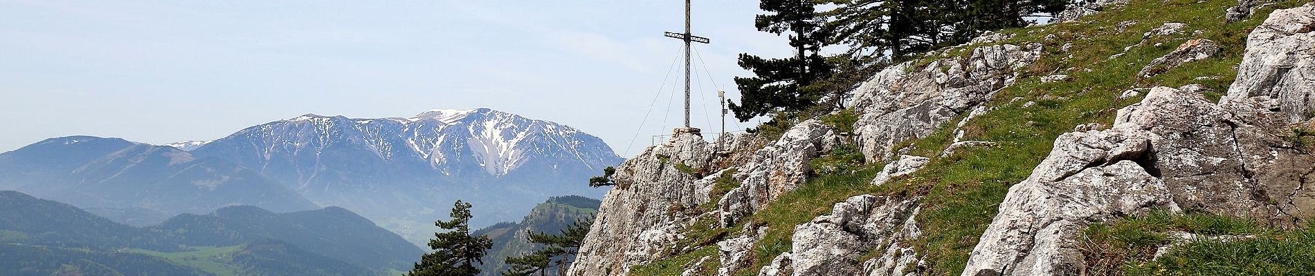 Tour Zu Fuß Gemeinde Hohe Wand - Wandfußsteig - Photo